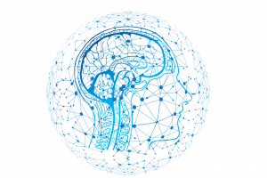 Hermetik Gehirn Meditation Wissenschaft Wissenschaft Hermetik Akademie Meditation