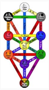 lebensbaum kabbalah hermetik Lebensbaum