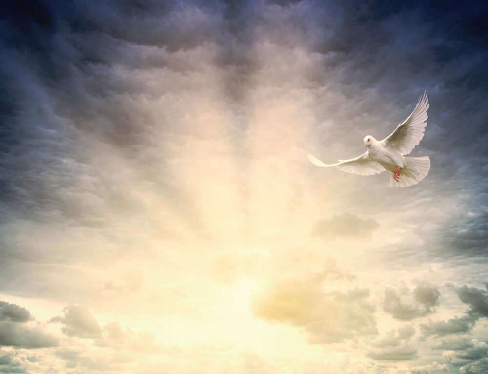 Baum der Erkenntnis Fall aus dem Garten Eden Hermetik Akademie