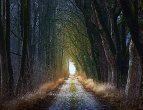Glaubenssätze auf dem spirituellen Weg: Warum echte Spiritualität unsere Weltsicht verändert  