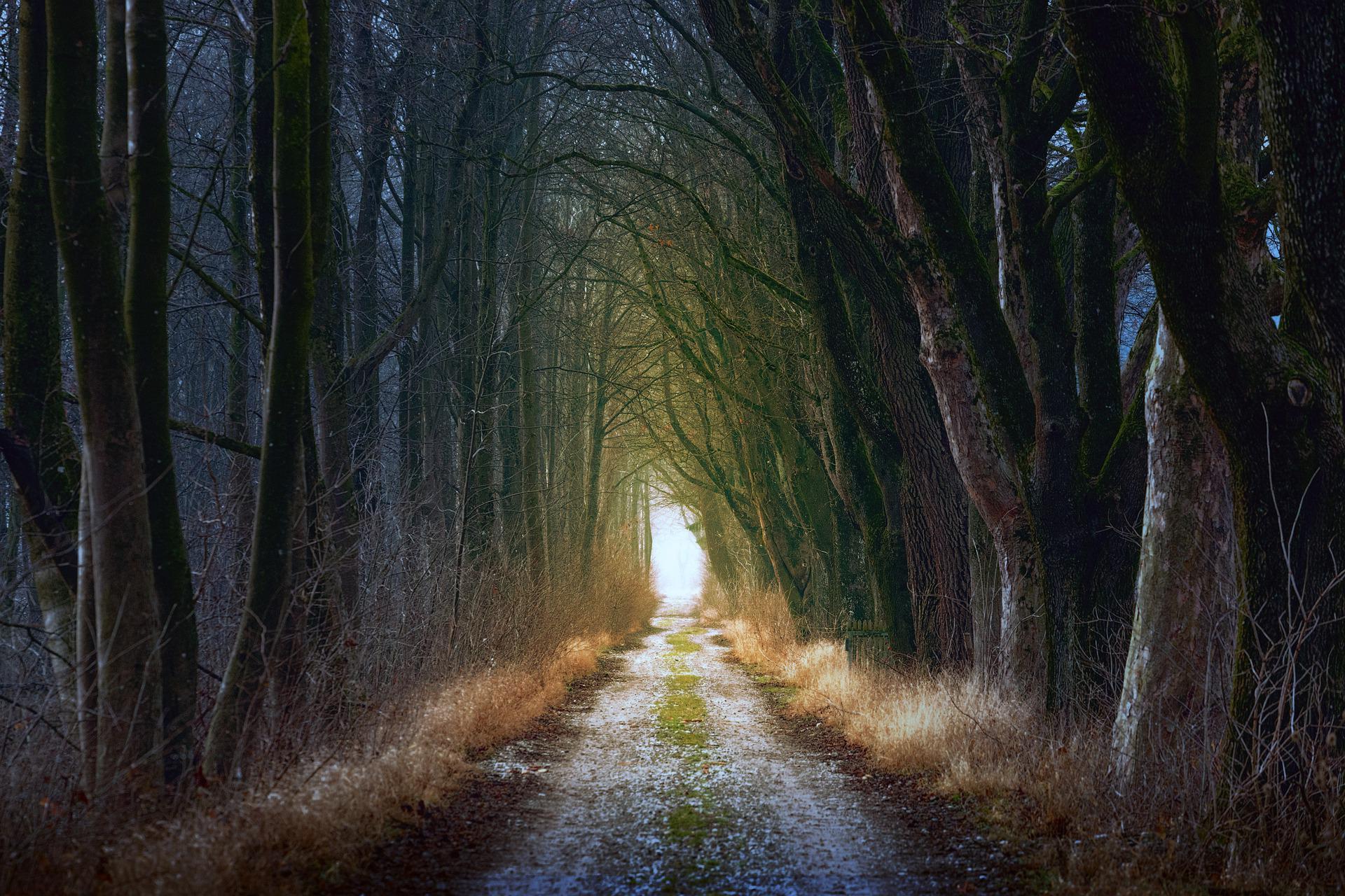 Glaubenssätze auf dem spirituellen Weg